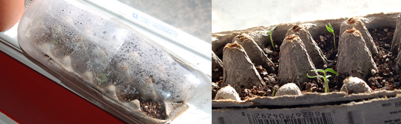 miniGreenhouse